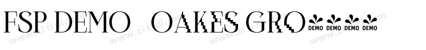 FSP DEMO   Oakes Gro字体转换